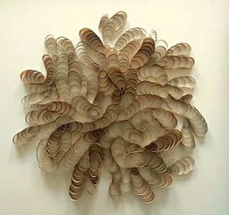 Musings with Hardy, book art by Thurle Wright